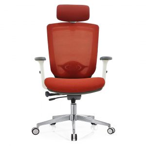 Office Chair, Adjustable Backrest and Armrest with Lumbar Support