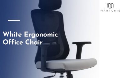 White Ergonomic Office Chair